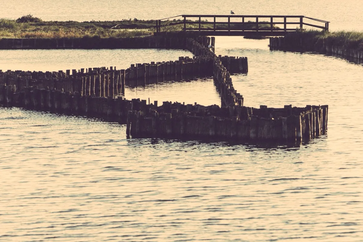 Un lavoriero per la pesca delle anguille nelle Valli di Comacchio